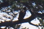 resIMG_20170710_141356_8424c.jpg